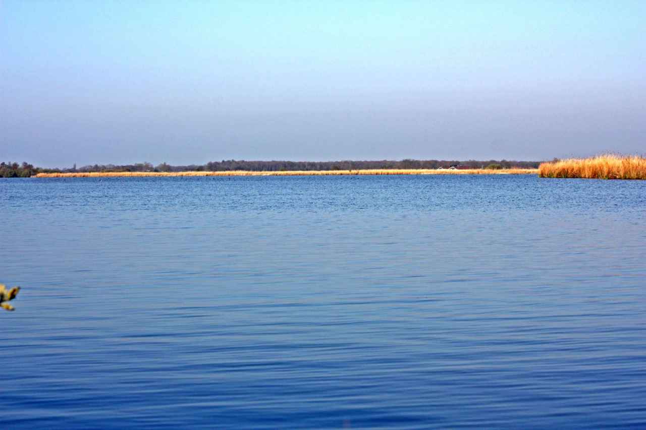 Creating a Feeding Spot