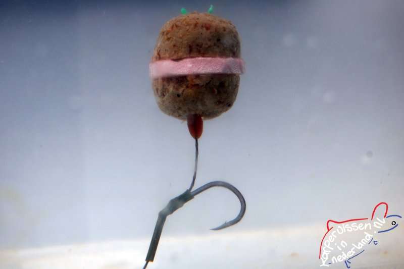 De boilieburger Pop-Up