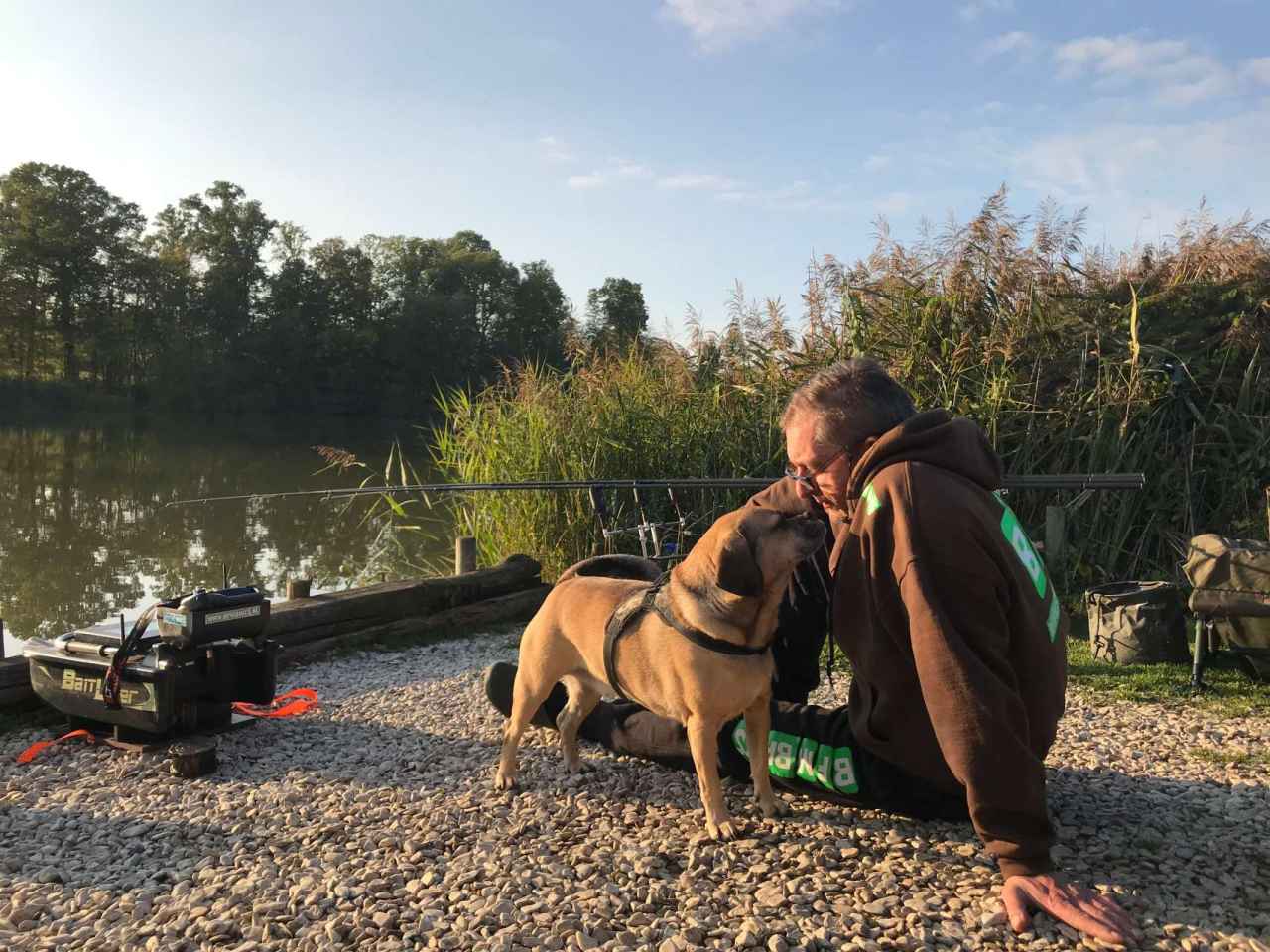 Wat is dressuur en hoe dit te doorbreken?