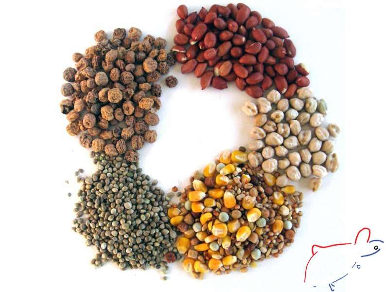 Partikels op de stek krijgen