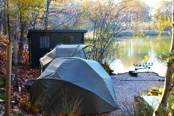 de Blokhut stek op Carpvalley in Eibergen