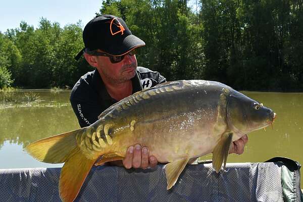 Stuk voor stuk schitterende exemplaren