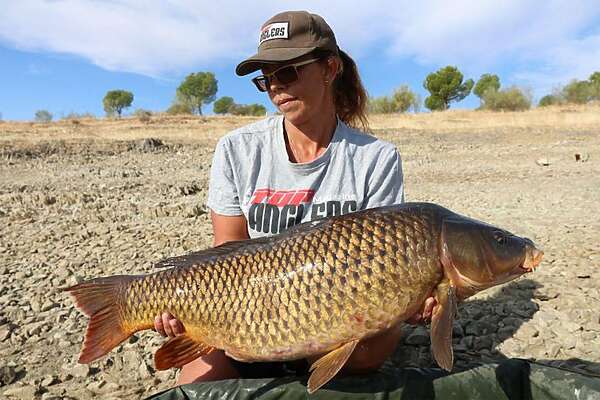 Reclin de Gries eigenaar van Angling Escapes met een schubkarper bij Orellana stuwmeer in Spanje