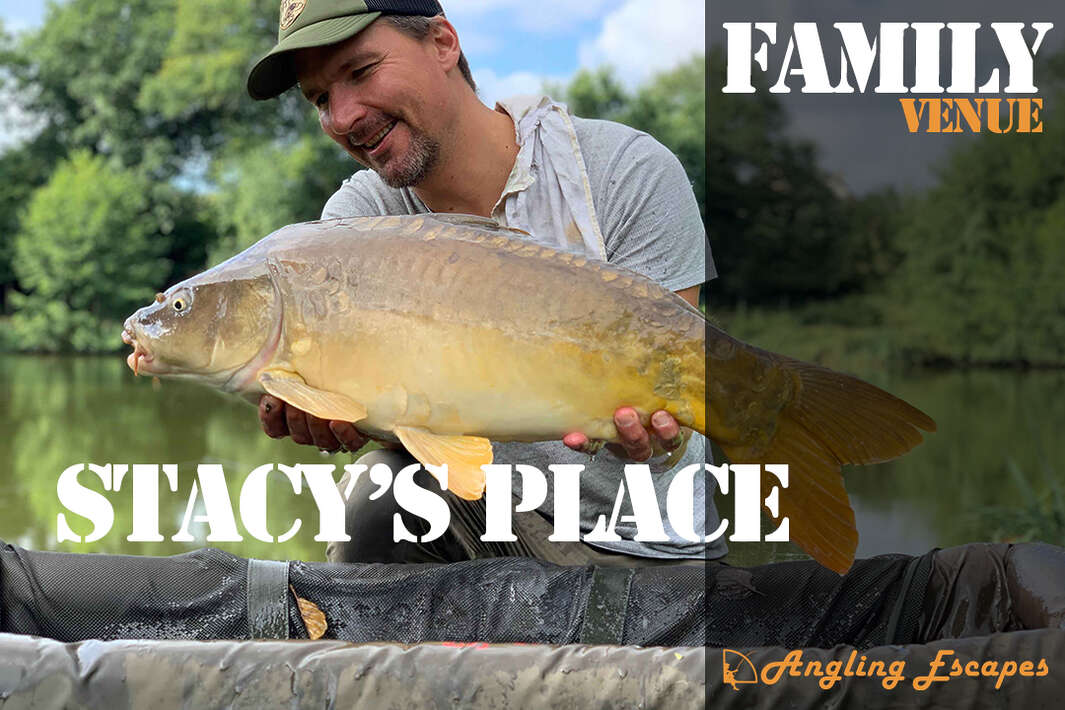 Impressie video Stacy’s Place