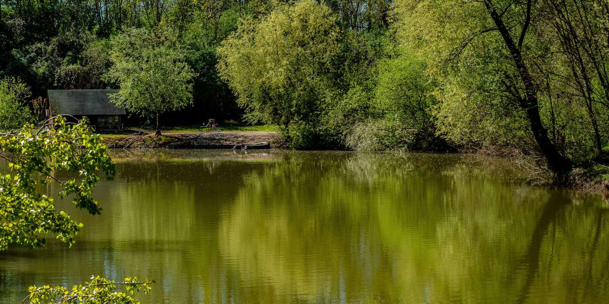 Carplake Zabar Bosnie Sfeerfoto 1 Zabar Sfeerfoto 1