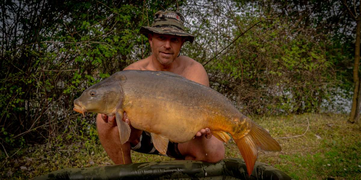 Peter Zabar Spiegel Karper 1 Peter Zabar Spiegel