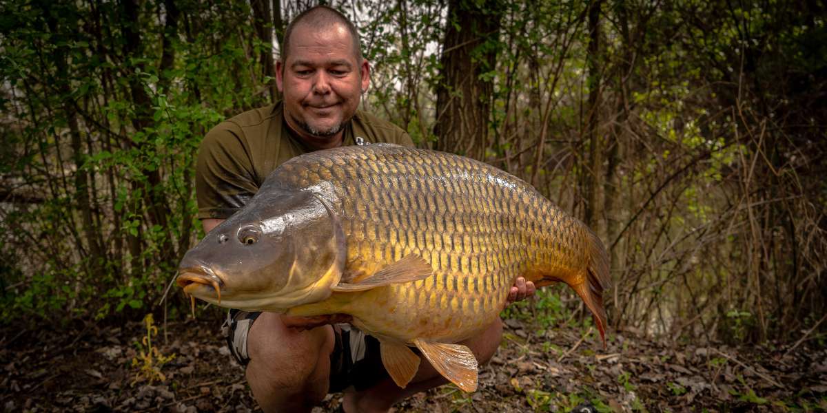 Sebastiaan Zabar Schub Karper 3 Sebastiaan Karper 3