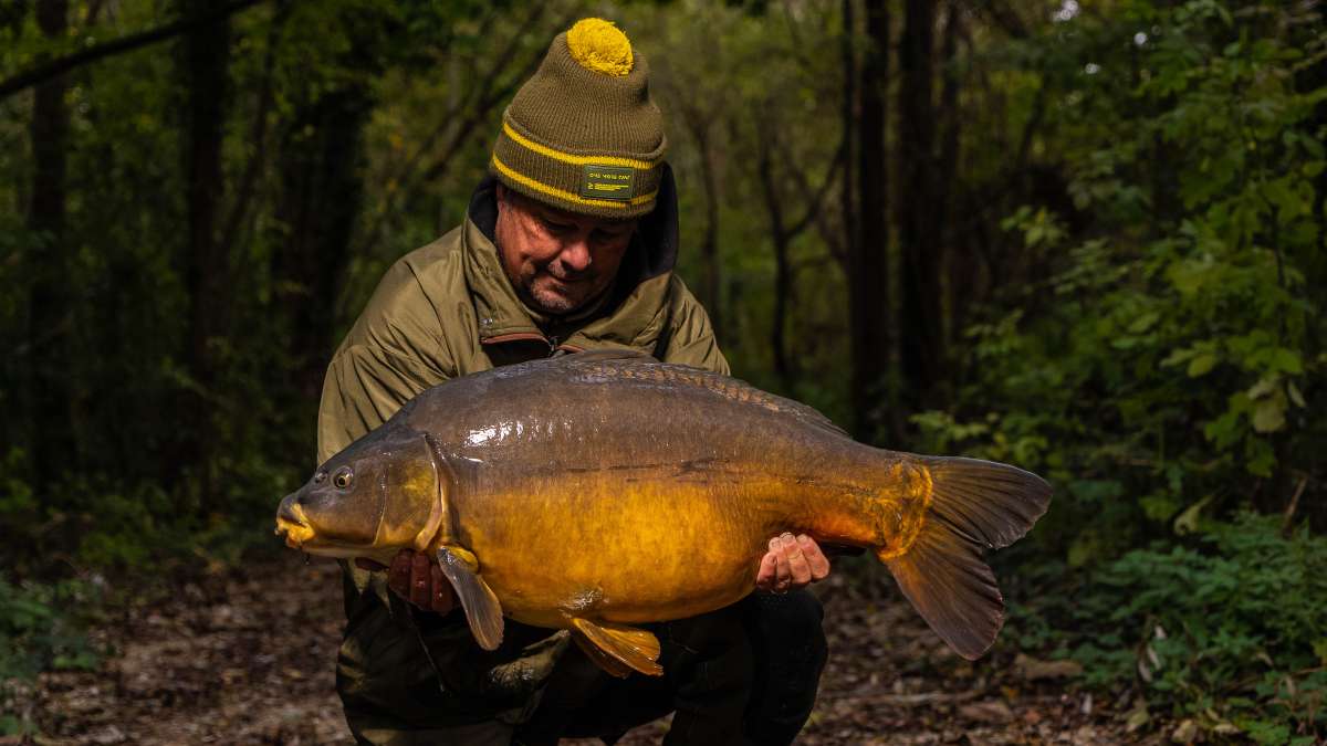 Chef De Ville Karper 1 De Karper 1