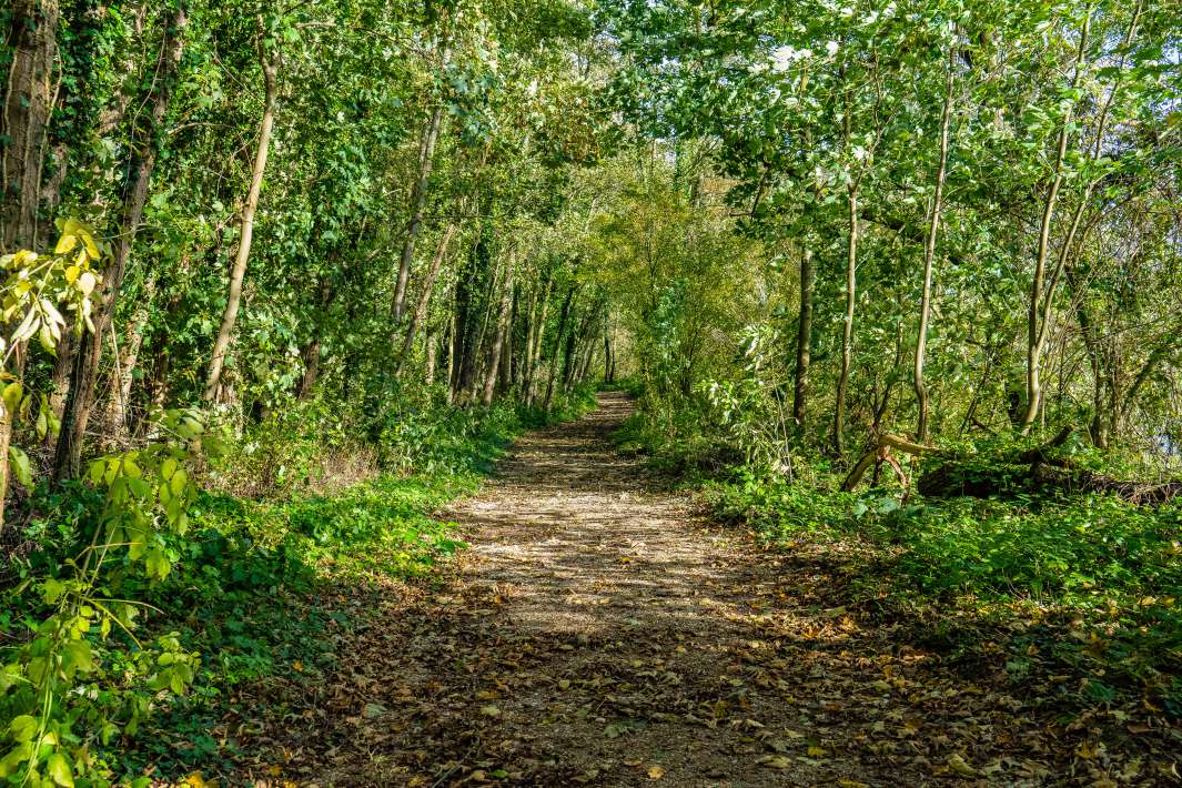 Pad Naar Stek 8 Naar Stek 8