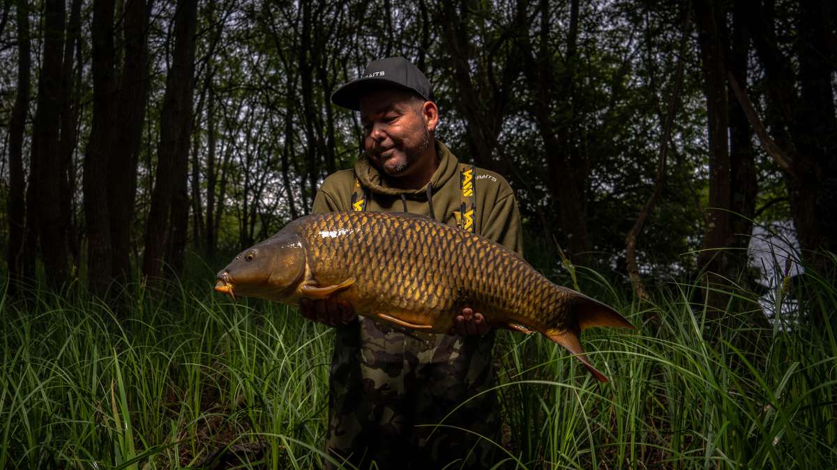 Common Carp Chateau Lake Poiteviniere Carp Poiteviniere 1