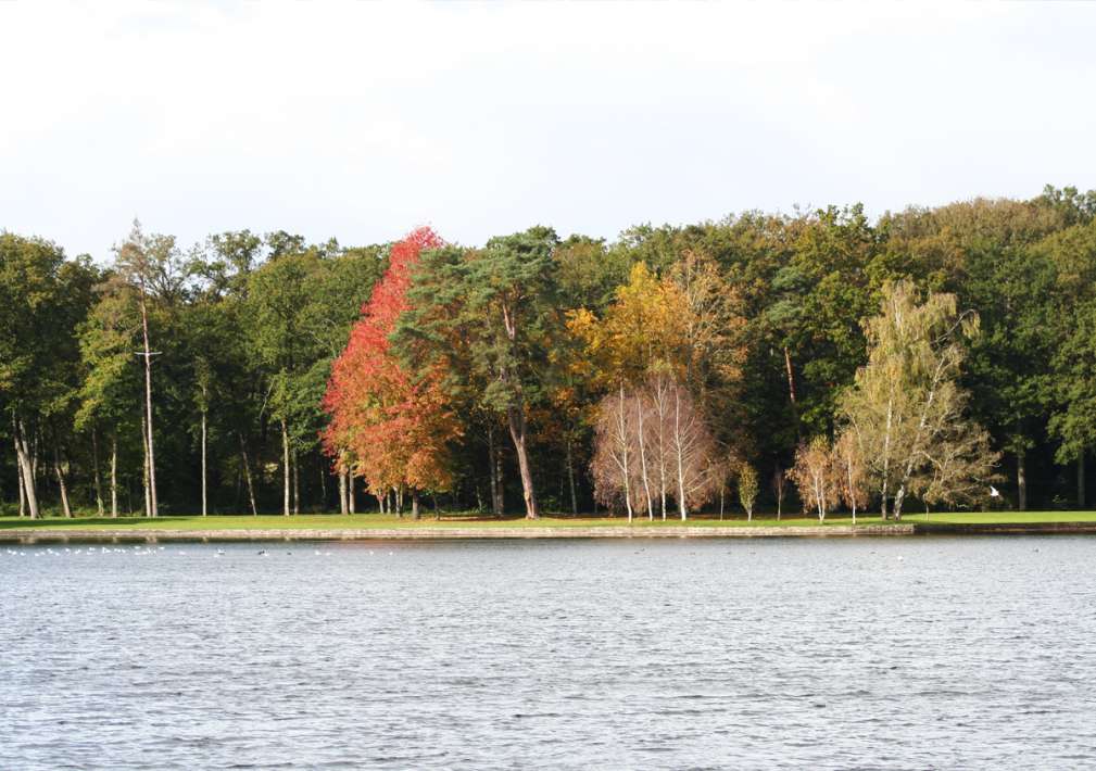 Etang De La Poiteviniere Lake La View 2