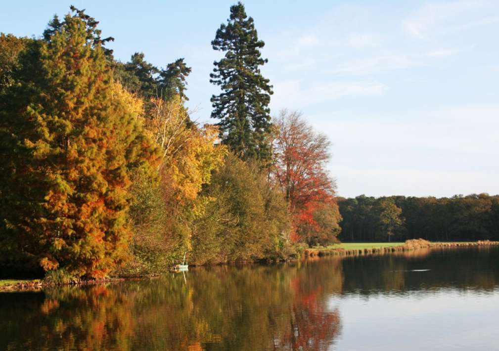 Etang De La Poiteviniere Lake Etang De Poiteviniere