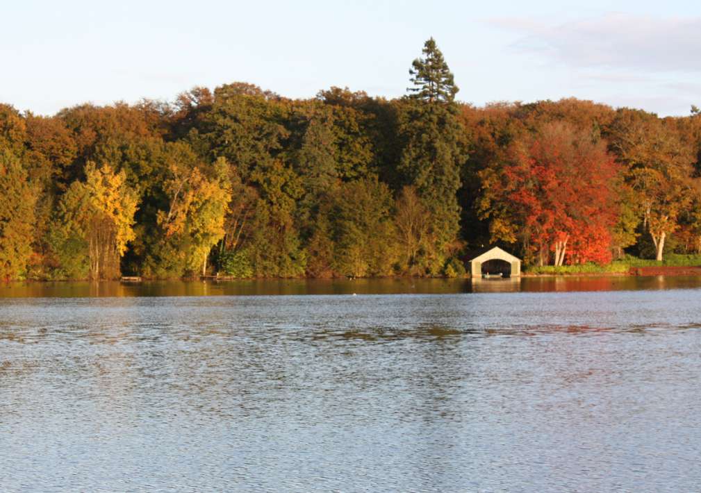 Etang De La Poiteviniere Lake De La Lake