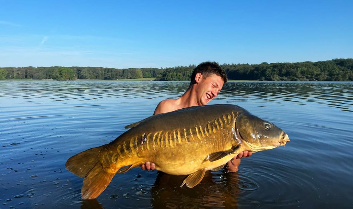 Etang De La Poiteviniere Linear Etang La Carp