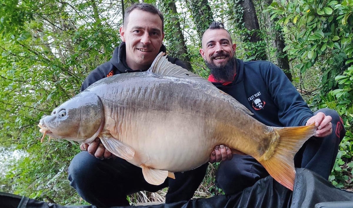 Etang De La Poiteviniere Miror Etang La Poiteviniere