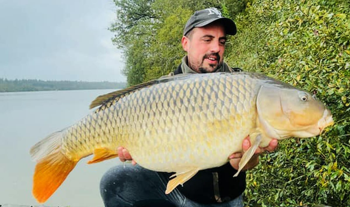 Etang De La Poiteviniere Scale De Poiteviniere 1