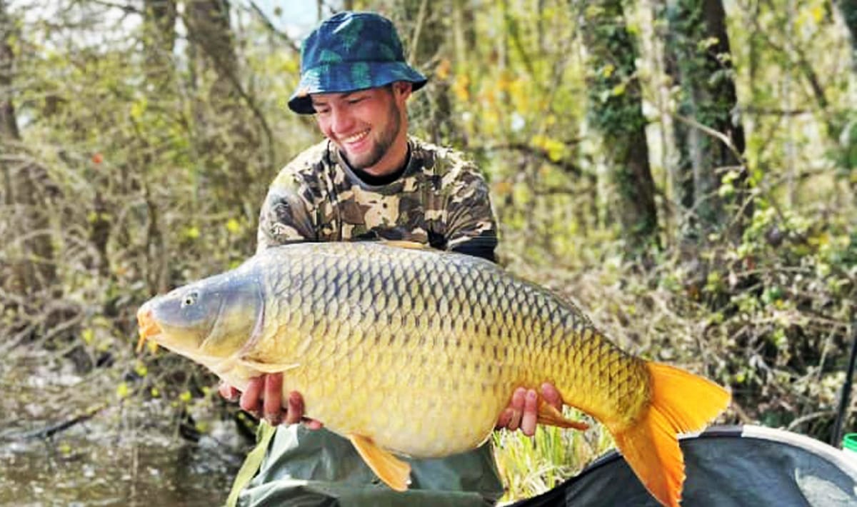 Etang De La Poiteviniere Scale De La Scale