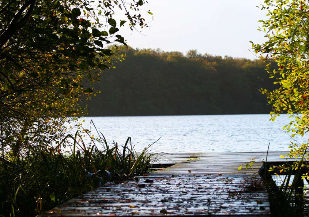 Etang De La Poiteviniere Stijger Etang De Stijger