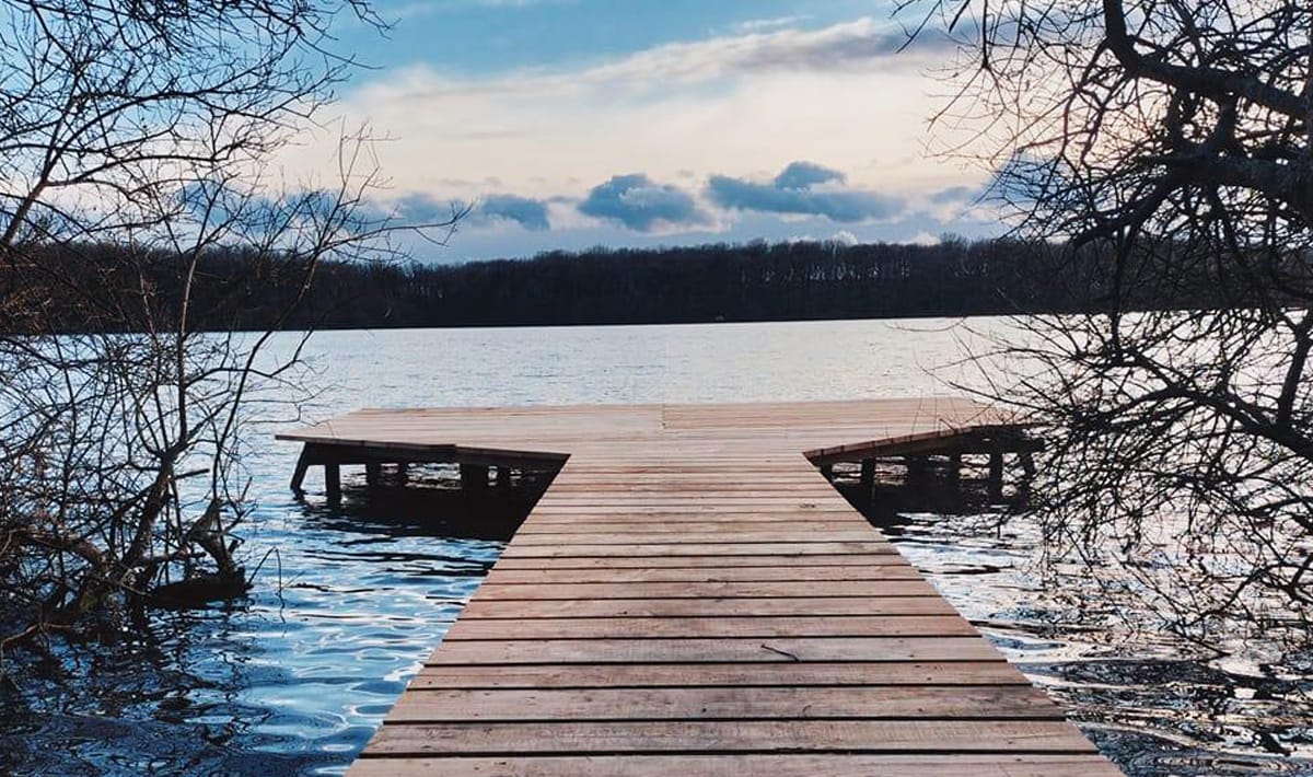 Etang De La Poiteviniere Stijger De La Poiteviniere