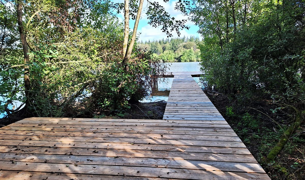 Etang De La Poiteviniere Stijger De La Stijger