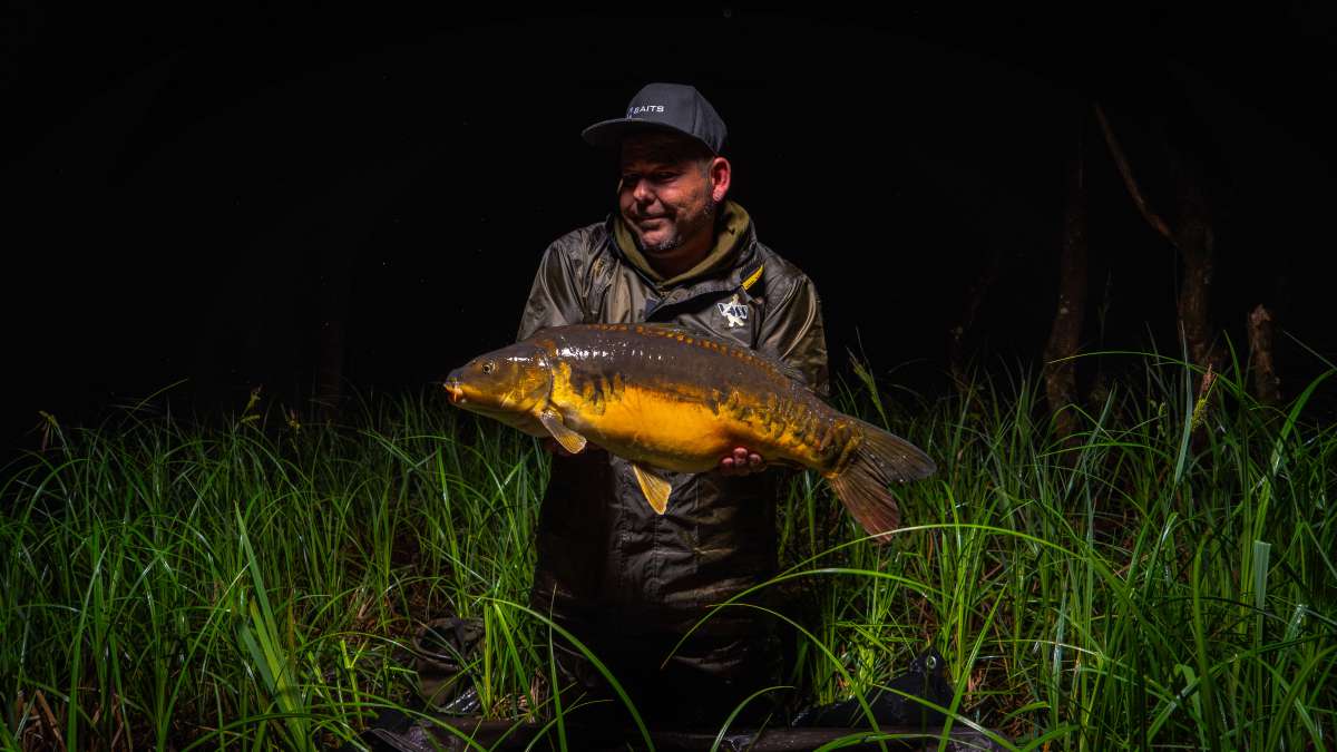 Koi Carp Chateau Lake Poiteviniere Carp Chateau 1