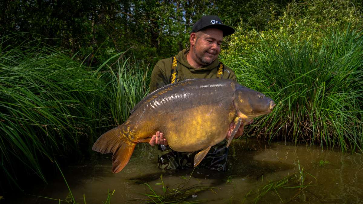 Mirror Carp Chateau Lake Poiteviniere Mirror Carp Lake