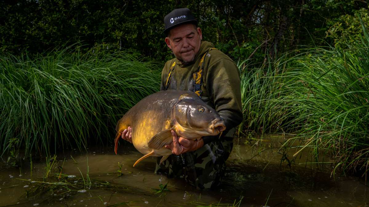 Mirror Carp Chateau Lake Poiteviniere Carp Lake 3