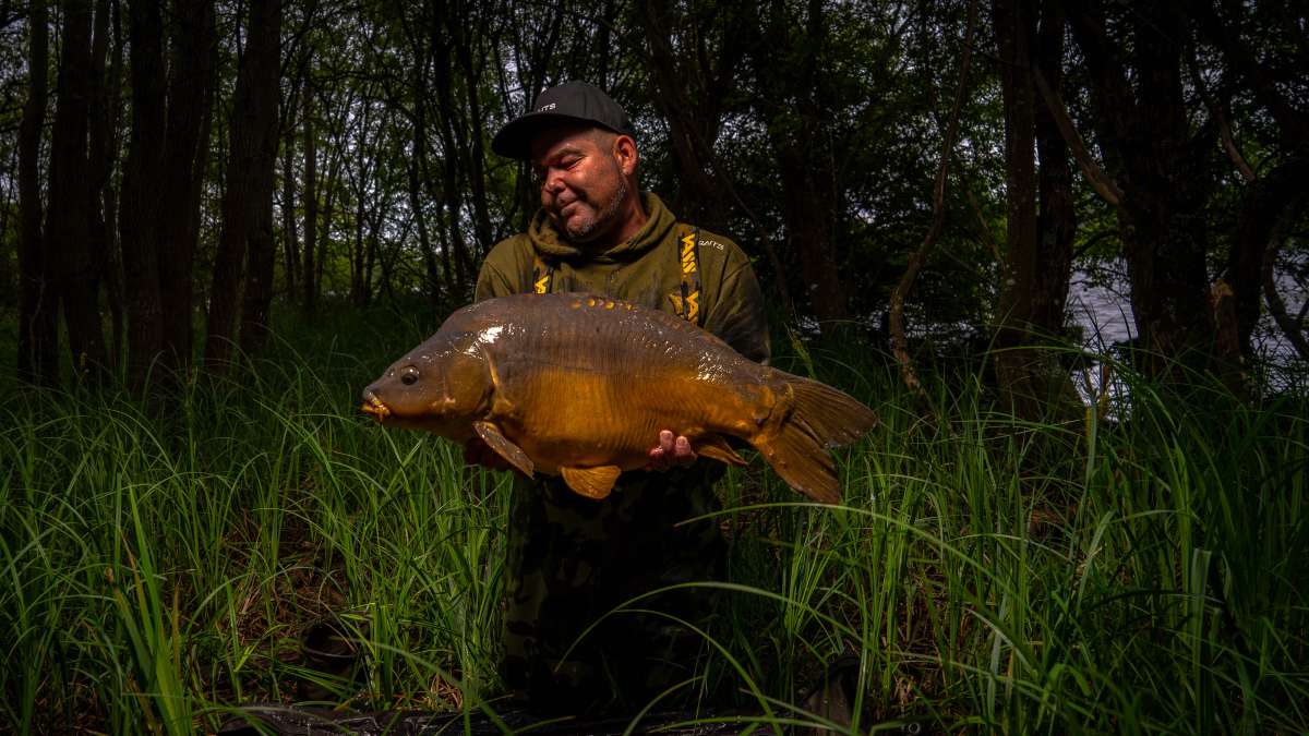 Mirror Carp Chateau Lake Poiteviniere Lake Poiteviniere 1