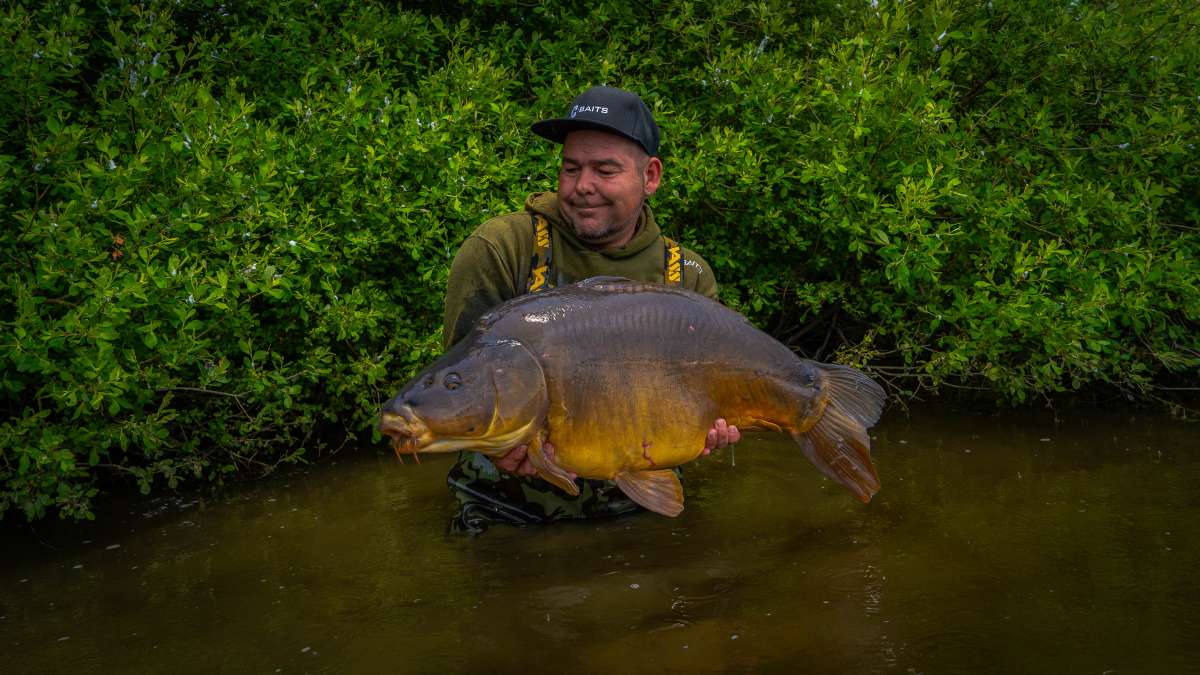 Mirror Carp Chateau Lake Poiteviniere Mirror Lake 3