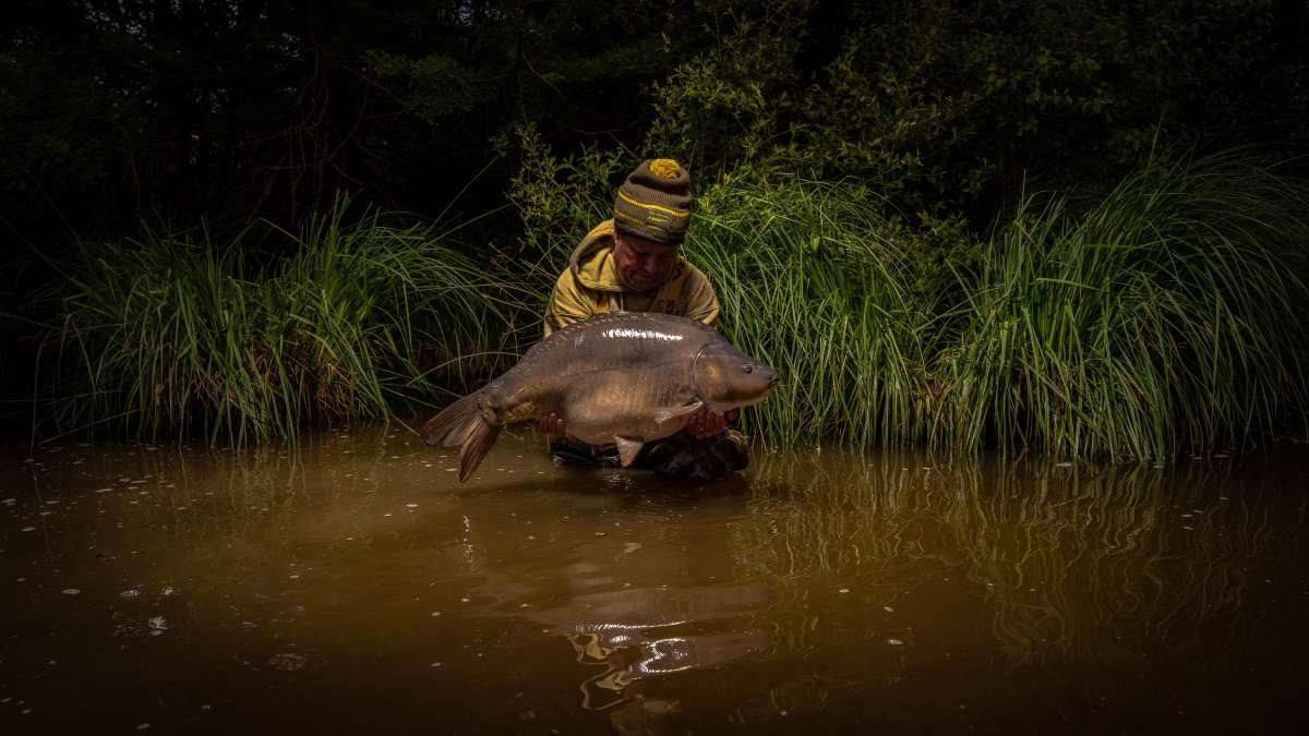Mirror Carp Chateau Lake Poiteviniere Mirror Carp Chateau
