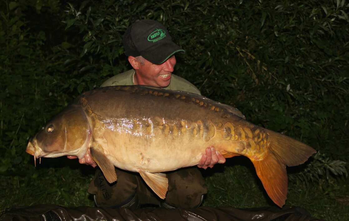 Chateliers Volschup Dave 1 Chateliers Dave 1