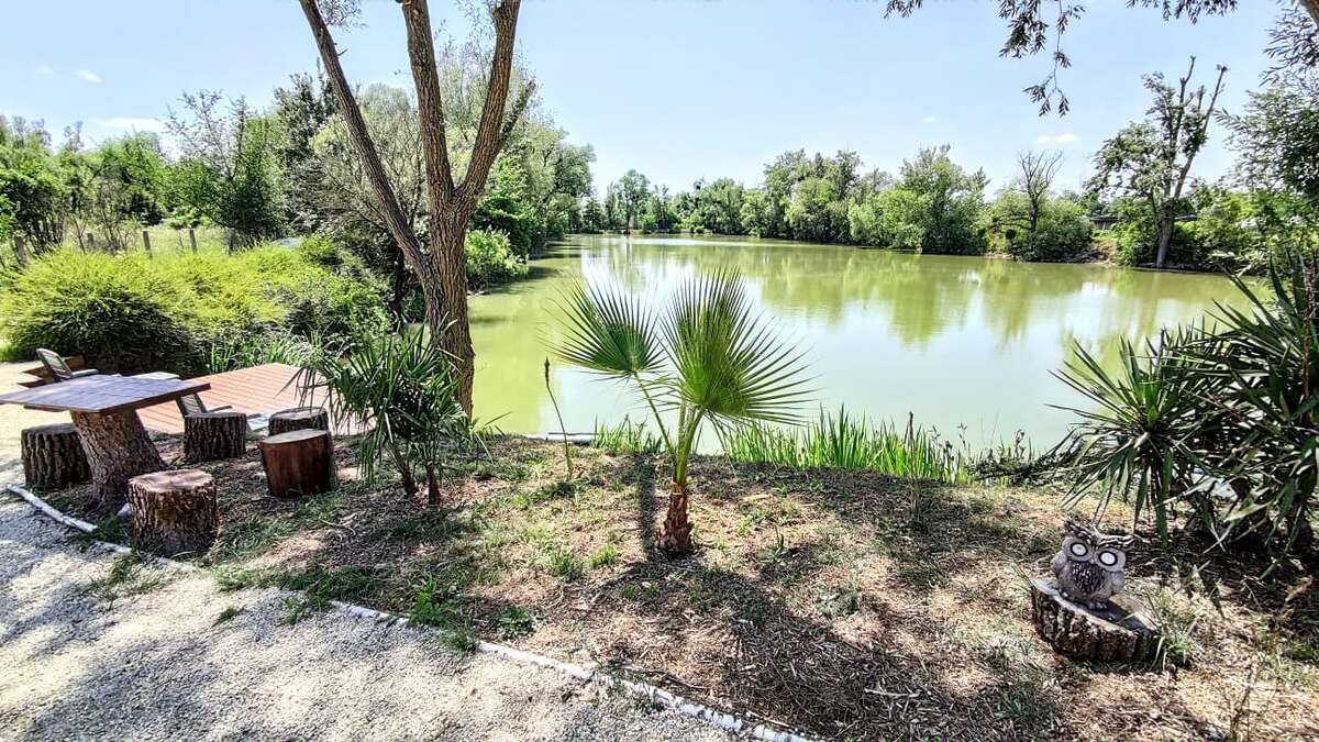 Etang Du Bambou Accommodatie Aan Du Bambou 2