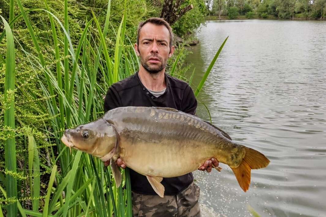 Etang Du Bambou Karpervissen Vakantie Karpervissen Vissen 1