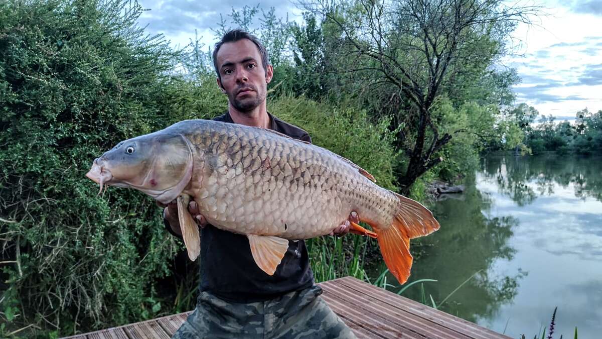 Etang Du Bambou Karpervissen Vakantie Du Karpervissen 2