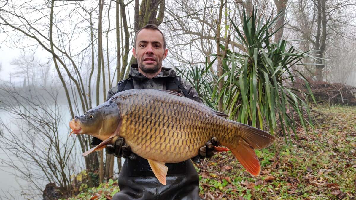 Etang Du Bambou Karpervissen Vakantie Karpervissen Vakantie 3