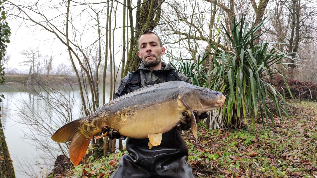 Etang Du Bambou Karpervissen Vakantie Etang Du Bambou