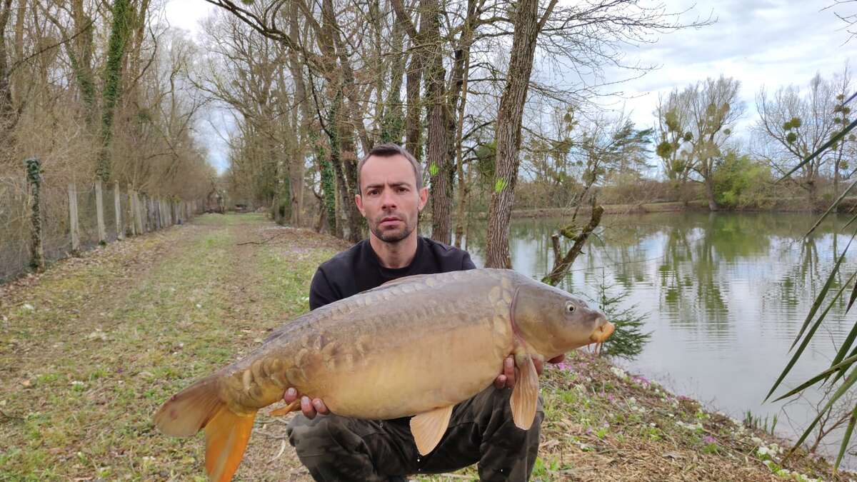 Etang Du Bambou Karpervissen Vakantie Bambou Vakantie 8