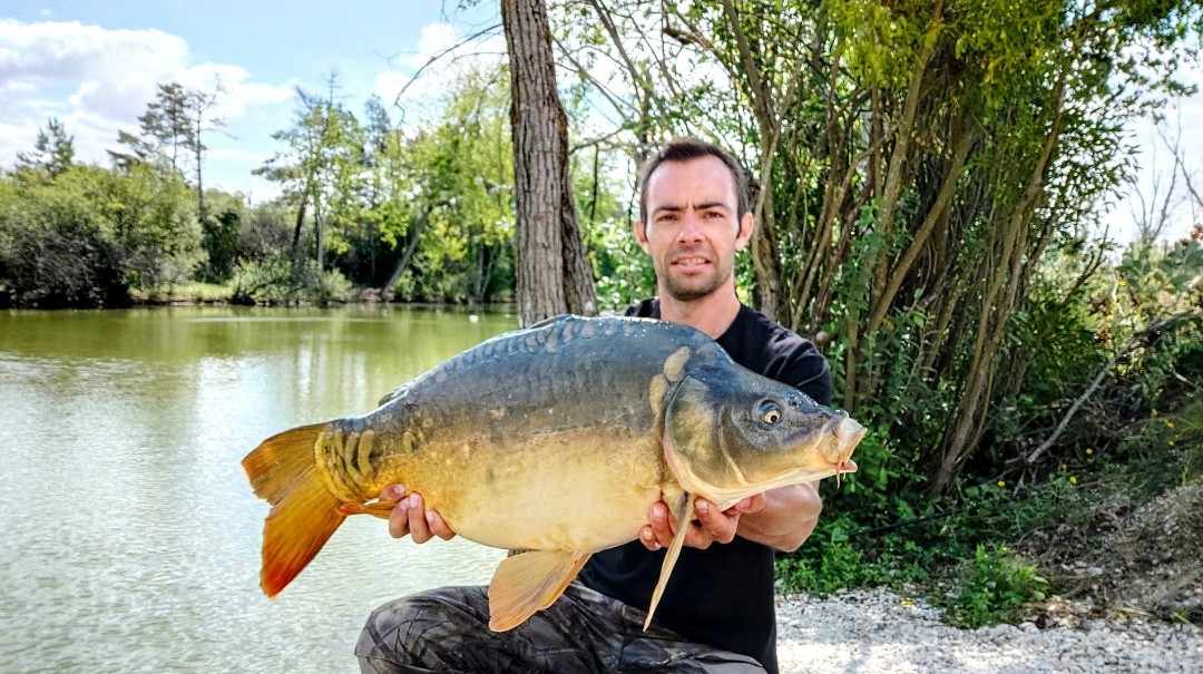 Lanodonte Karpervissen Noord Frankrijk 18 Karpervissen Noord Frankrijk