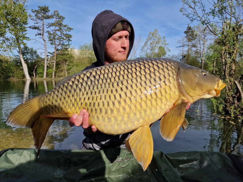 Lanodonte Karpervissen Noord Frankrijk 19 Karpervissen Frankrijk 19