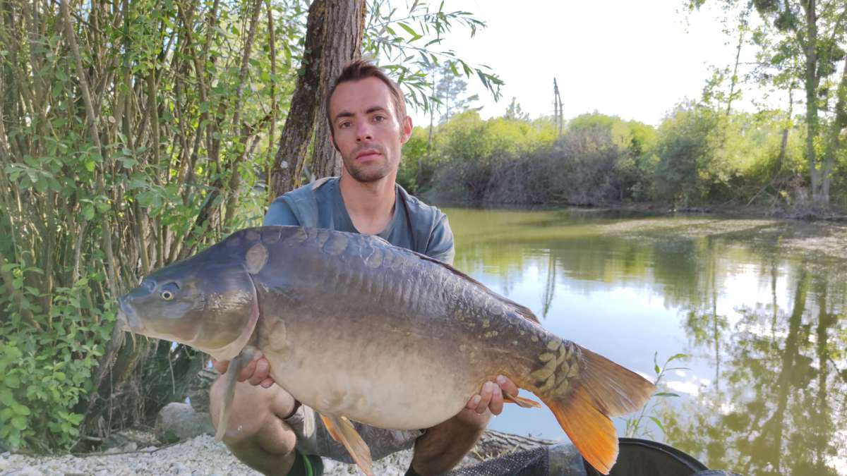 Lanodonte Karpervissen Noord Frankrijk 2 Noord Frankrijk 2