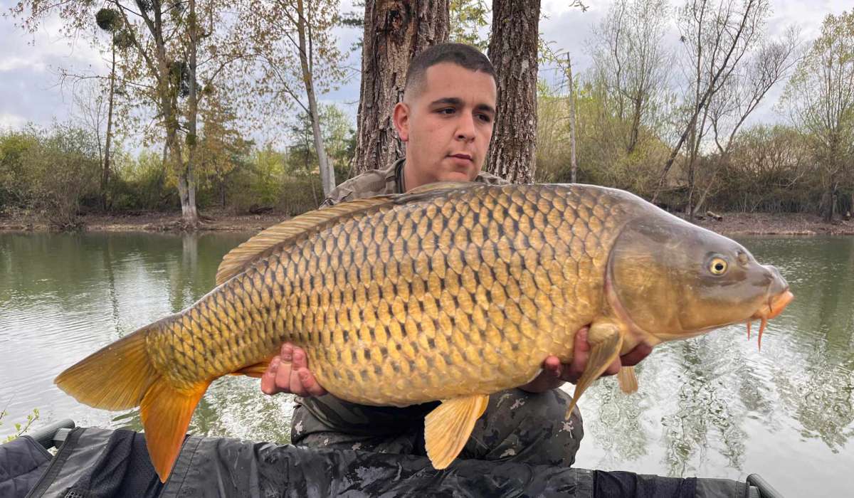 Lanodonte Karpervissen Noord Frankrijk 20 Noord Frankrijk 20