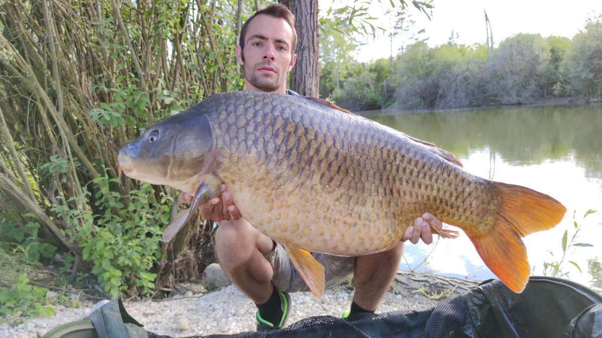 Lanodonte Karpervissen Noord Frankrijk 3 Karpervissen Noord Frankrijk