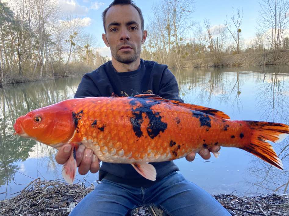 Lanodonte Karpervissen Noord Frankrijk 7 Noord Frankrijk 7