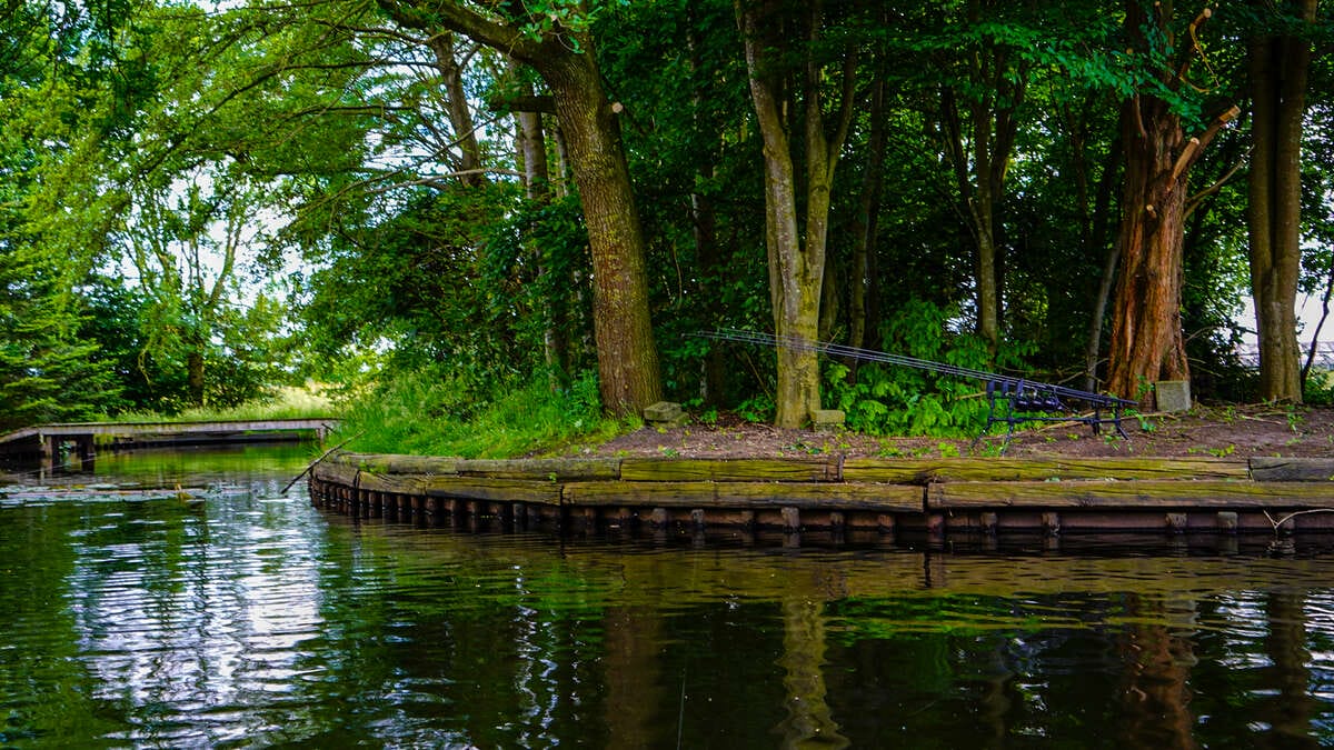 Carp Lake Rosmalen Sfeer Carp Lake Rosmalen