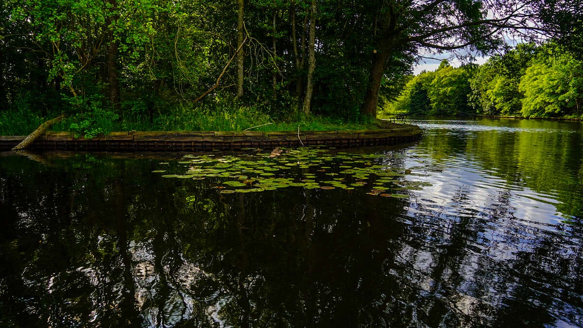 Carp Lake Rosmalen Sfeerfoto 3 Lake Rosmalen Sfeerfoto