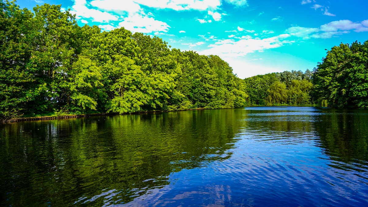 Carp Lake Rosmalen Sfeerfoto 8 Carp Rosmalen 8