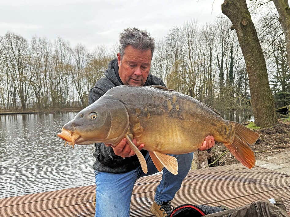 Edwin Carplake Rosmalen Spiegelkarper Edwin Carplake Spiegelkarper