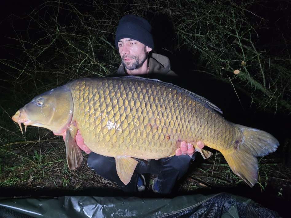 Karperdroom Extreme Karpervissen In Nederland Karpervissen Nederland 1
