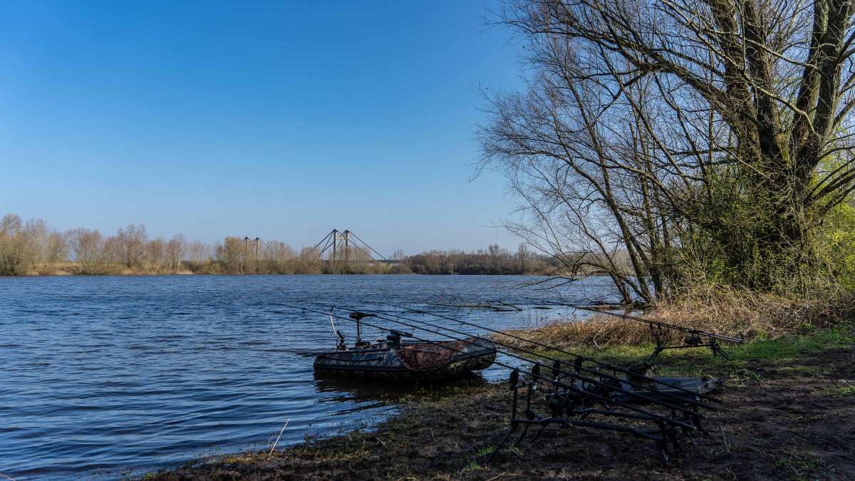 Karperdroom Extreme Stek 1 2 Karperdroom Stek 1