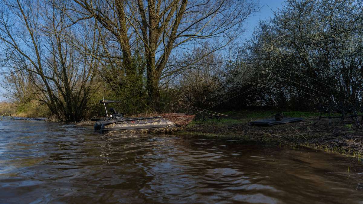 Karperdroom Extreme Stek 1 3 Extreme 1 3